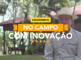 Brachiarias para produzir carne com mais tecnologia