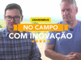 Investimento em cultivares híbridos otimiza as janelas de produção