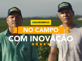 Antecipação no plantio da soja com uso de híbridos