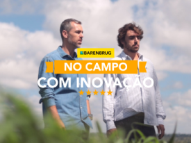Irmãos adotam cultivares da Barenbrug para aprimorar produção