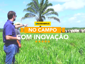 Pecuarista inova e eleva rentabilidade