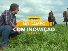 Investimento em sementes de qualidade para gerar lucratividade