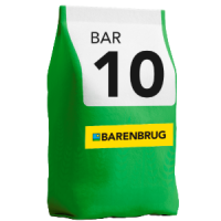 Cultivar de Trigo BAR 10: superprecoce com versatilidade e rendimento