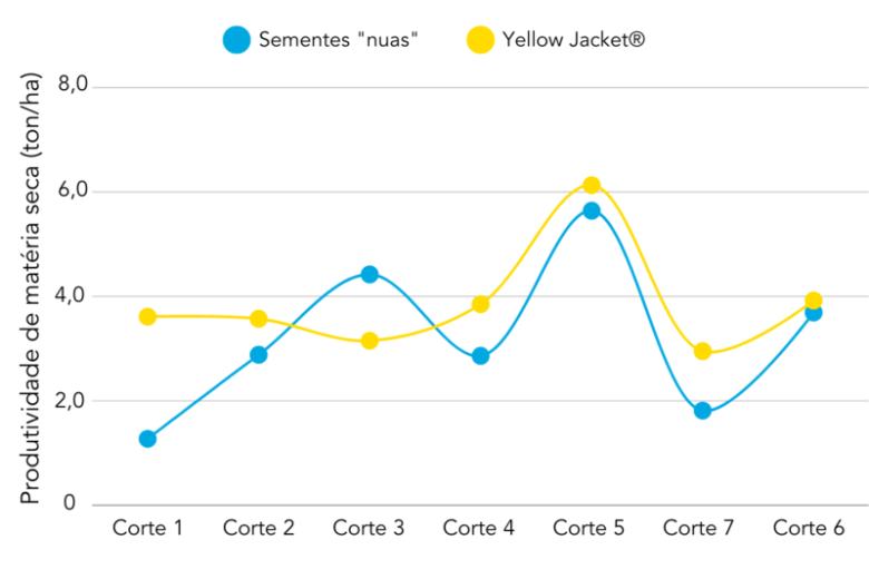  Semente Nuas vs s Yellow Jacket®
