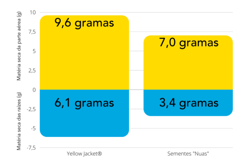 O tratamento Yellow Jacket® em sementes de forrageiras eleva a produtividade de matéria seca, garantindo melhores resultados ao produtor.