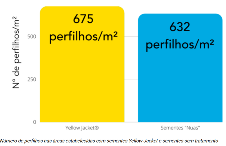Dados do YJ 
