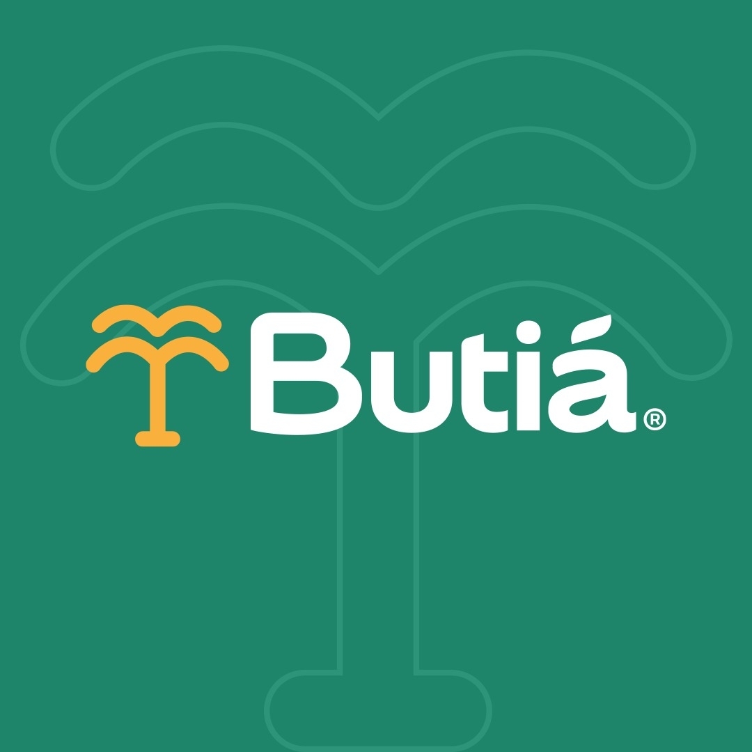 Sementes Butiá