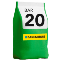 Cultivar de Trigo BAR 20: a melhor escolha para alta performance na agricultura